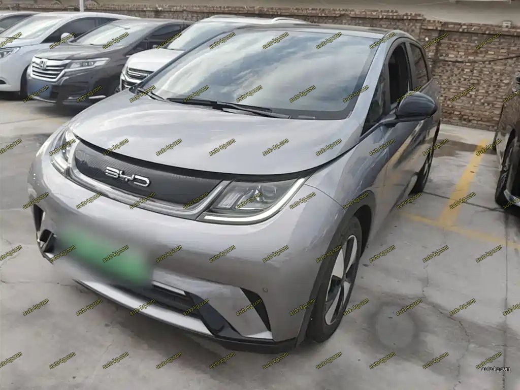 BYD Dolphin 2023
