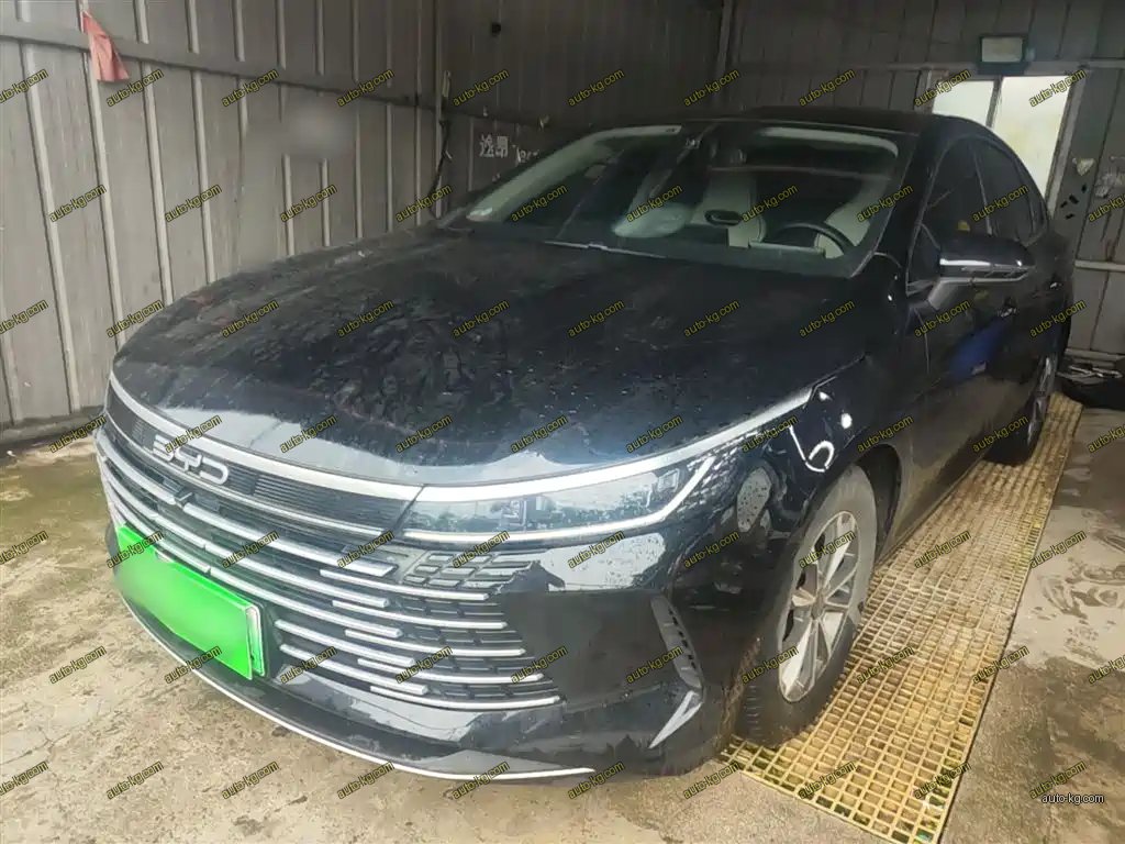 BYD Destroyer 05 2024