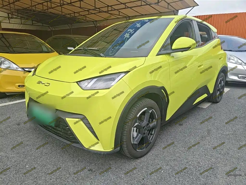 BYD Seagull 2024
