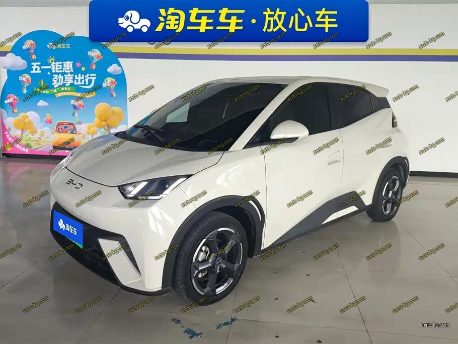 BYD Seagull 2024