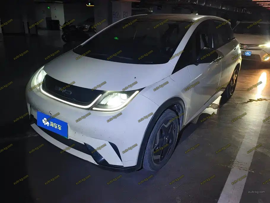 BYD Dolphin 2022
