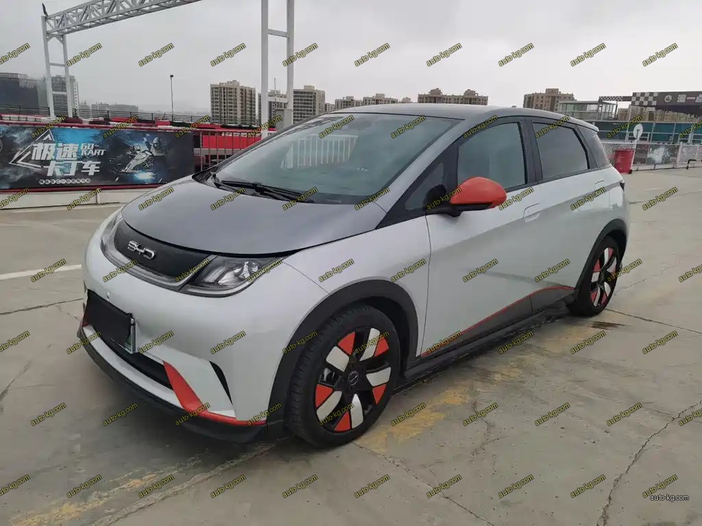 BYD Dolphin 2022