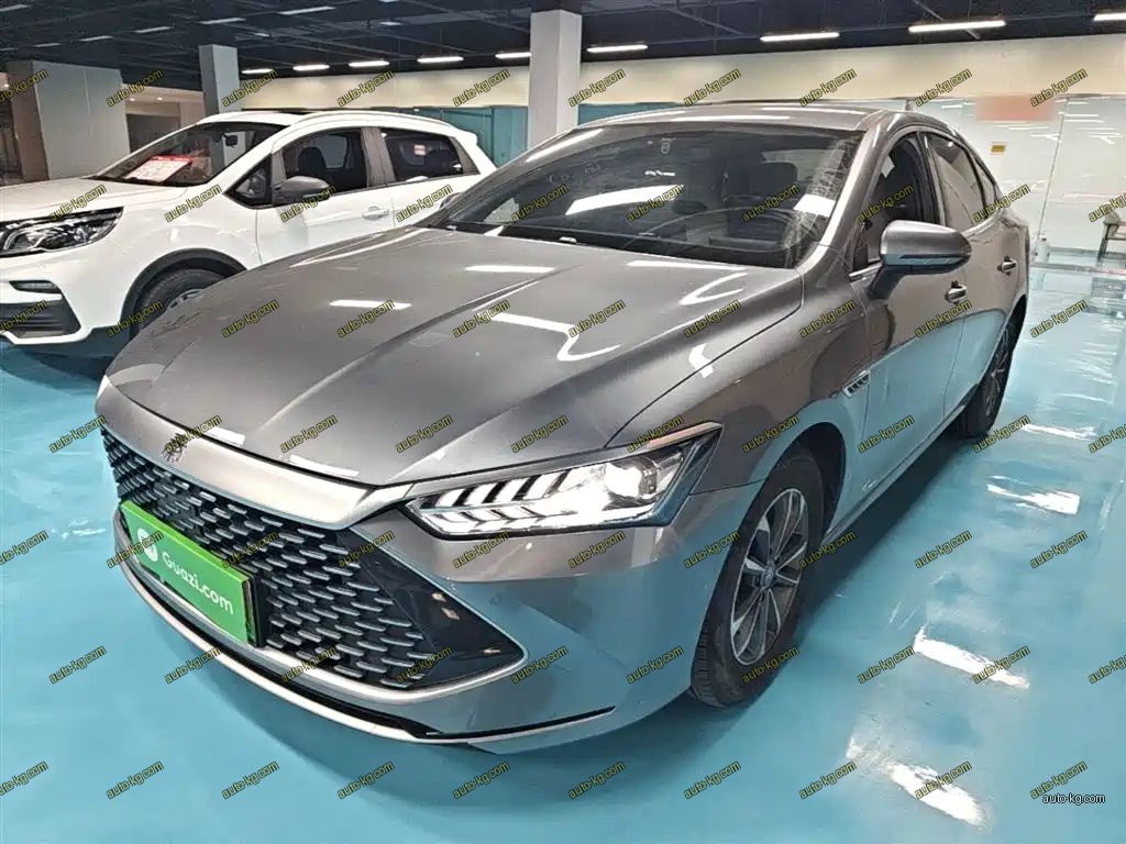 BYD Qin PLUS 2024
