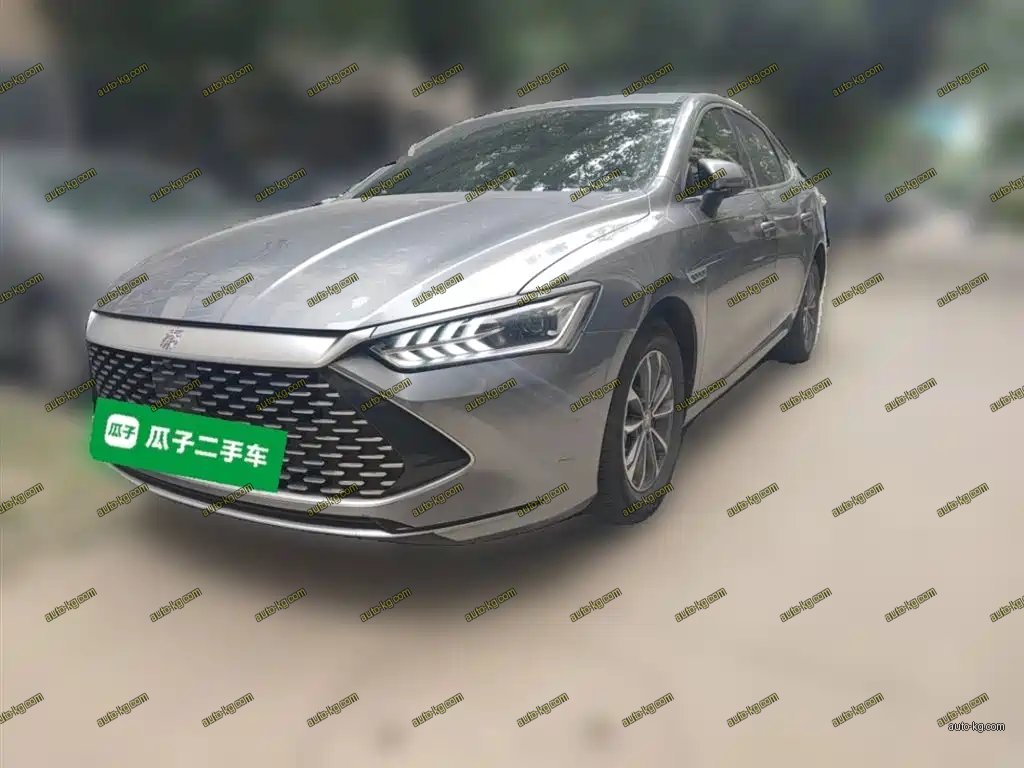 BYD Qin PLUS 2024
