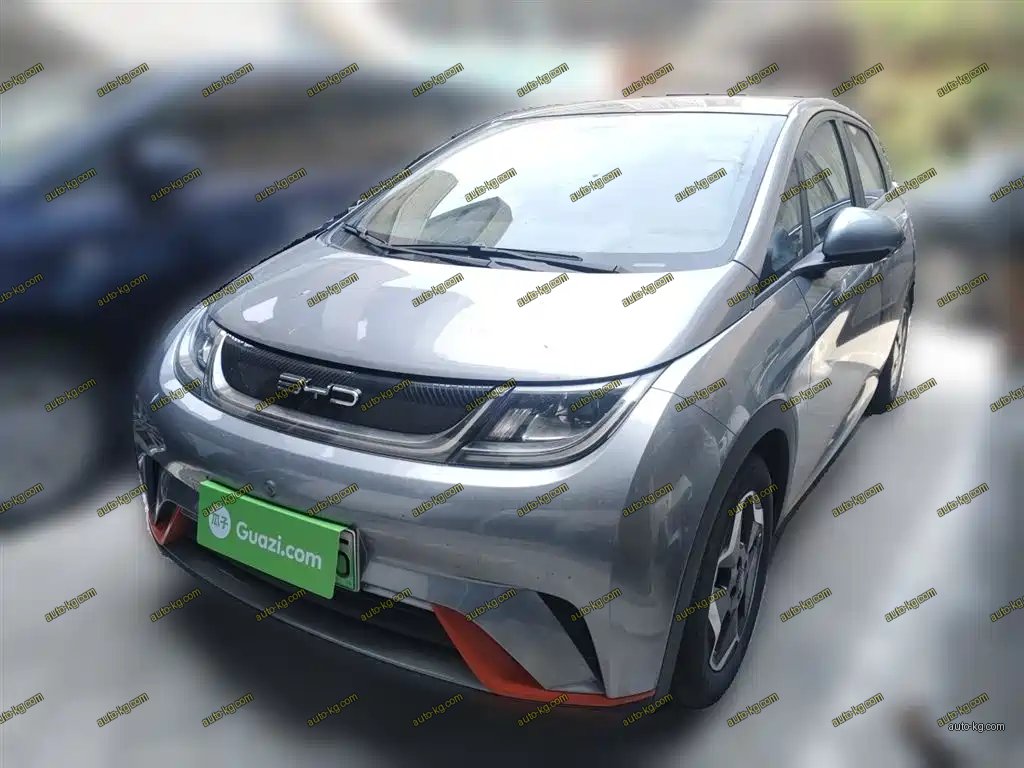 BYD Dolphin 2022