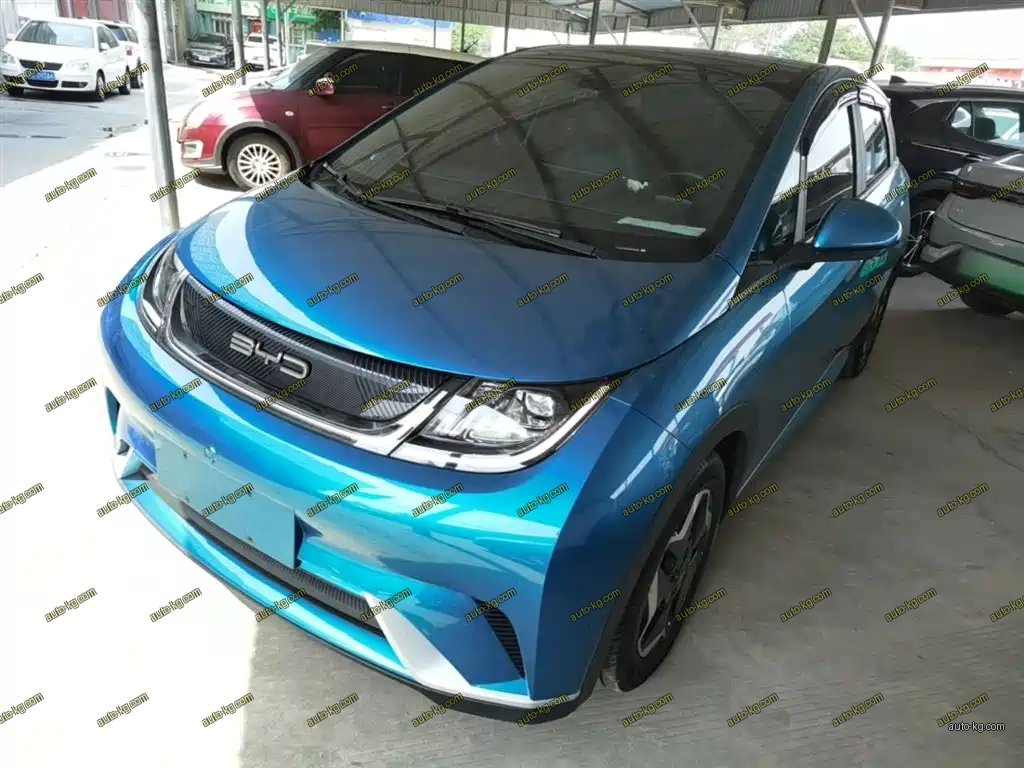 BYD Dolphin 2022