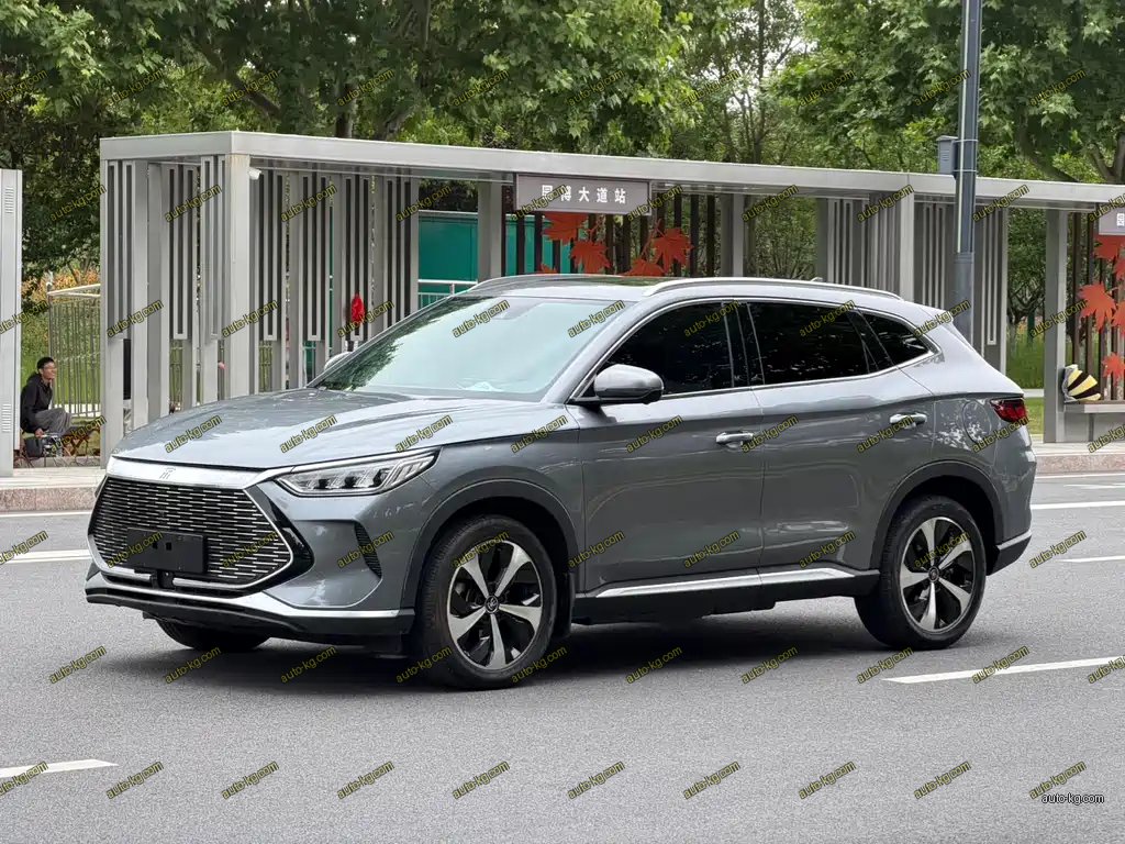 BYD PLUS New Energy 2023