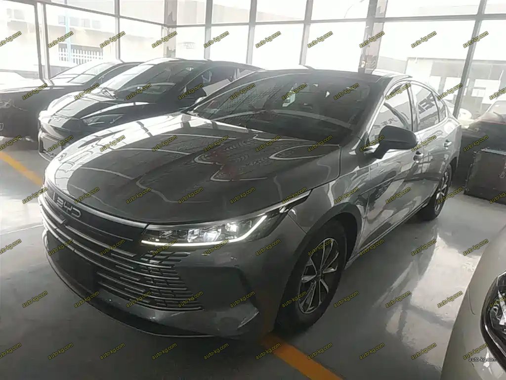 BYD Destroyer 05 2024