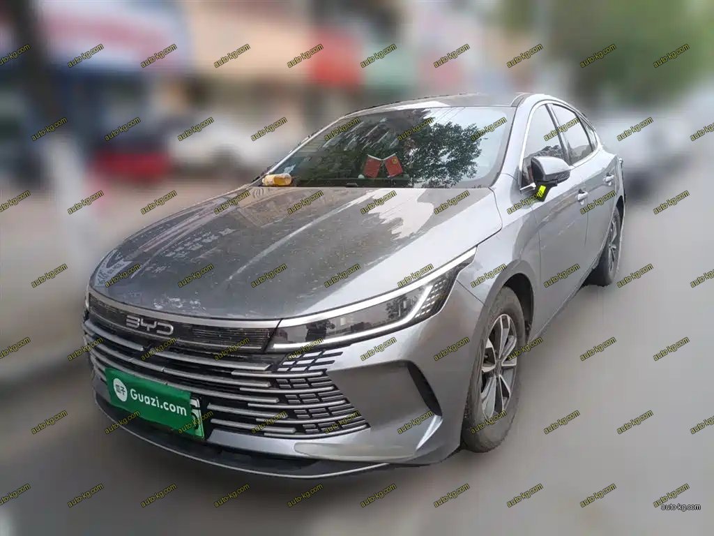 BYD Destroyer 05 2024
