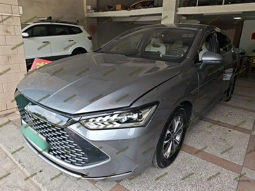 BYD Qin PLUS 2024