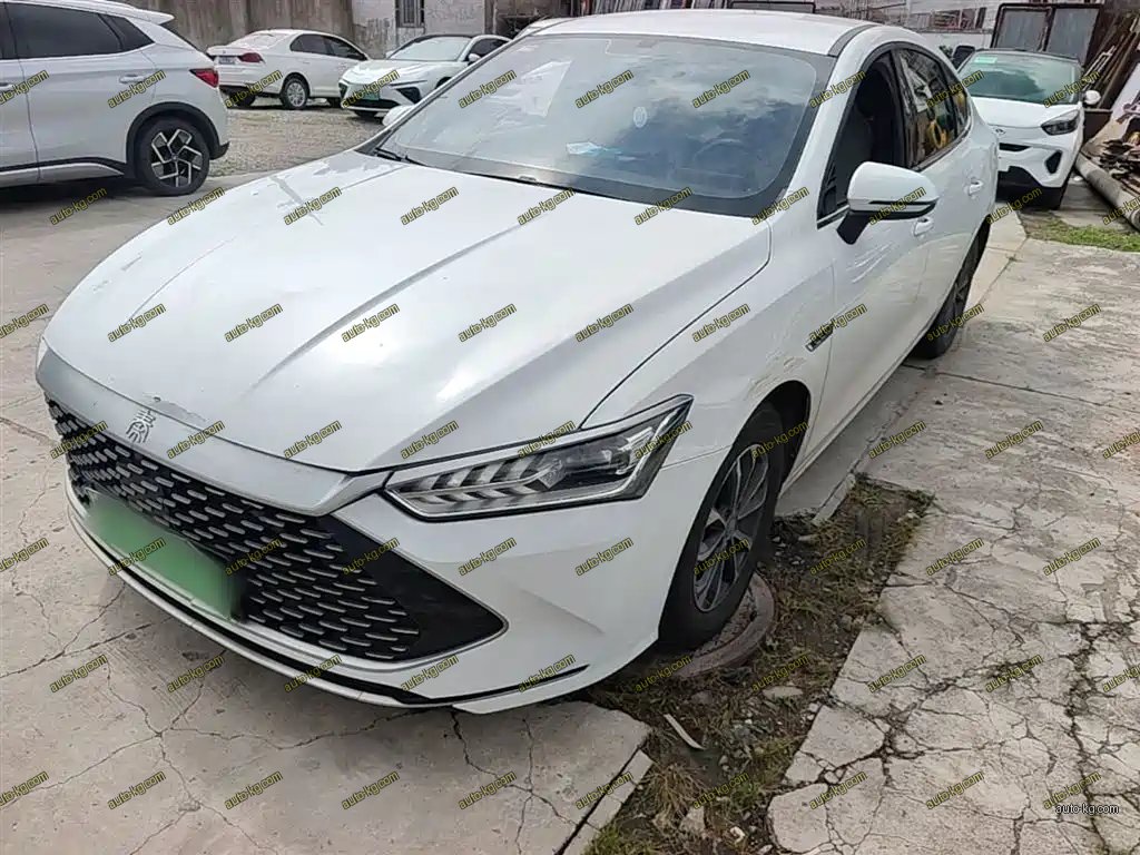 BYD Qin PLUS 2024