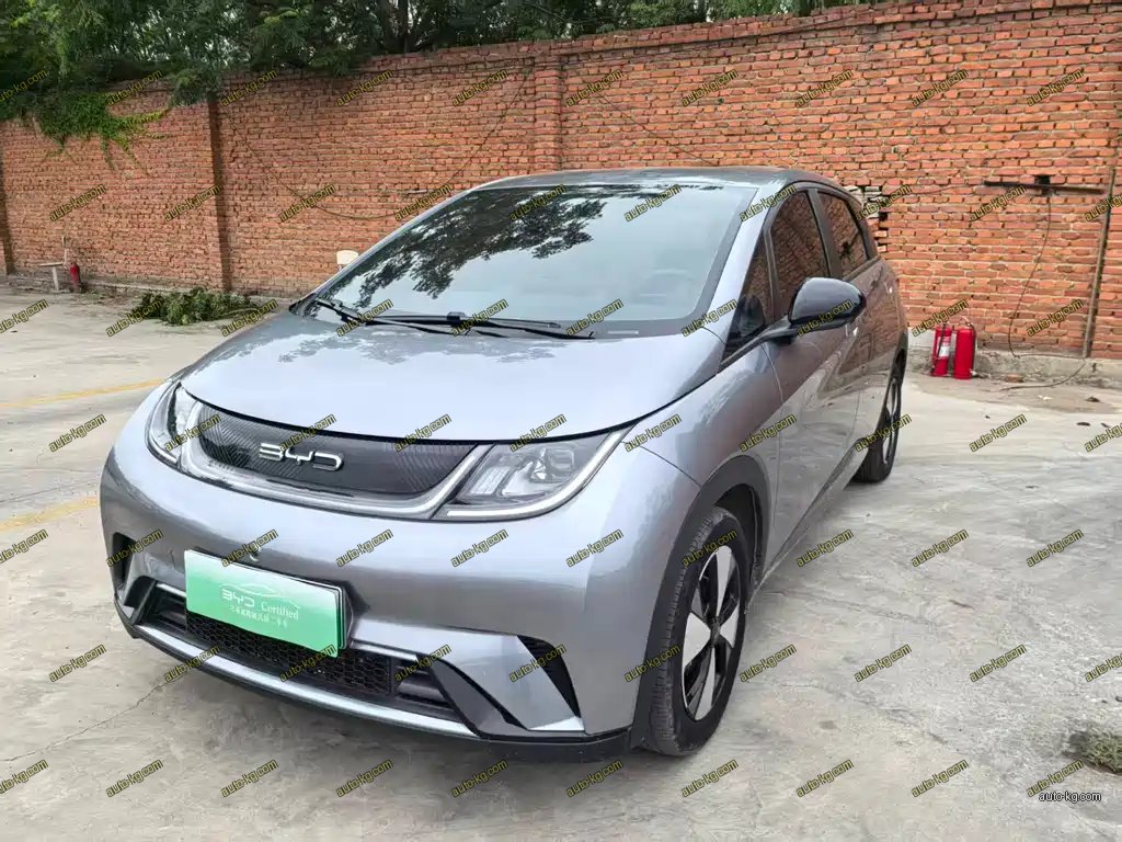 BYD Dolphin 2024