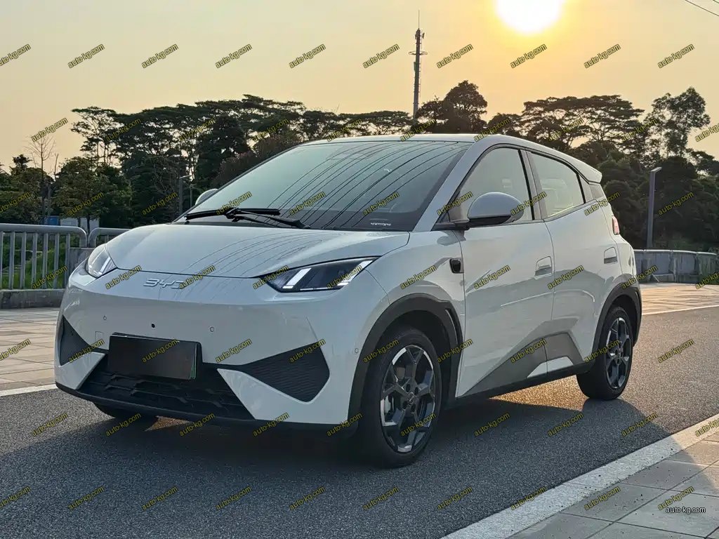 BYD Seagull 2025