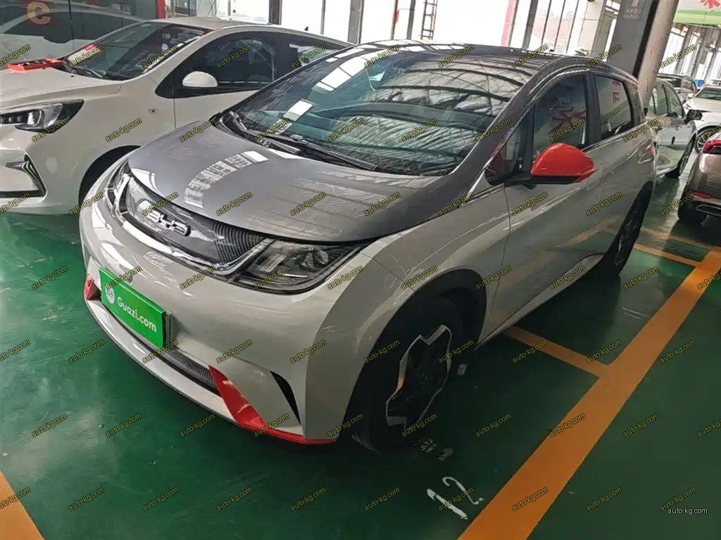 BYD Dolphin 2022