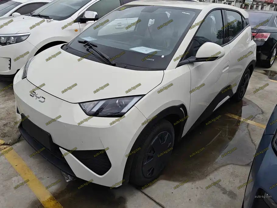 BYD Seagull 2026