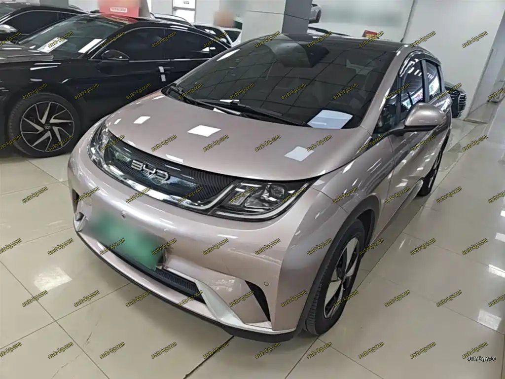 BYD Dolphin 2023