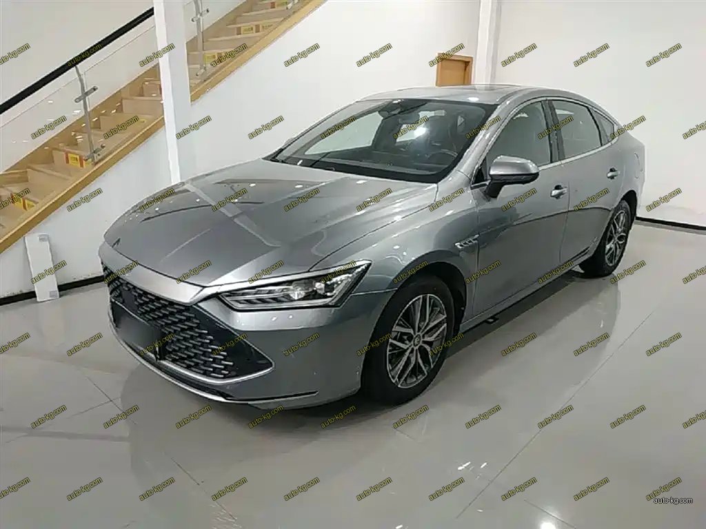 BYD Qin PLUS 2023