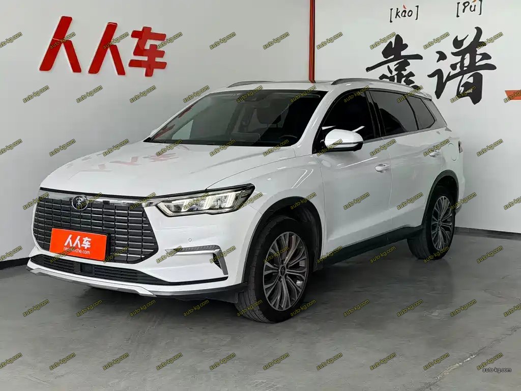 BYD Pro New Energy 2020