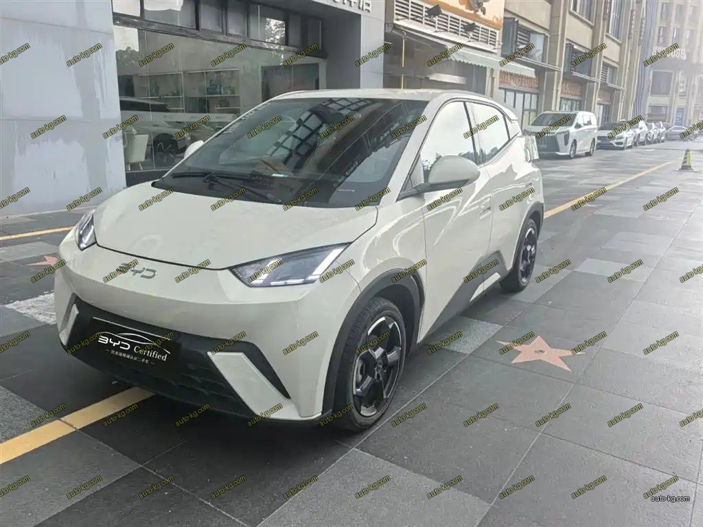BYD Seagull 2024