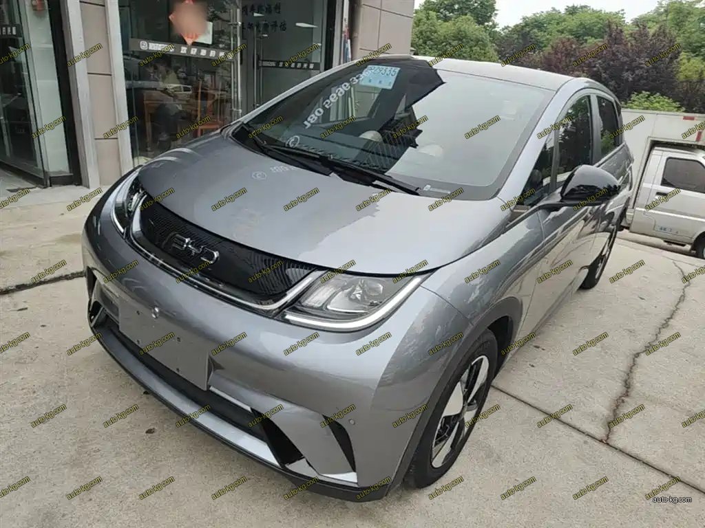 BYD Dolphin 2023