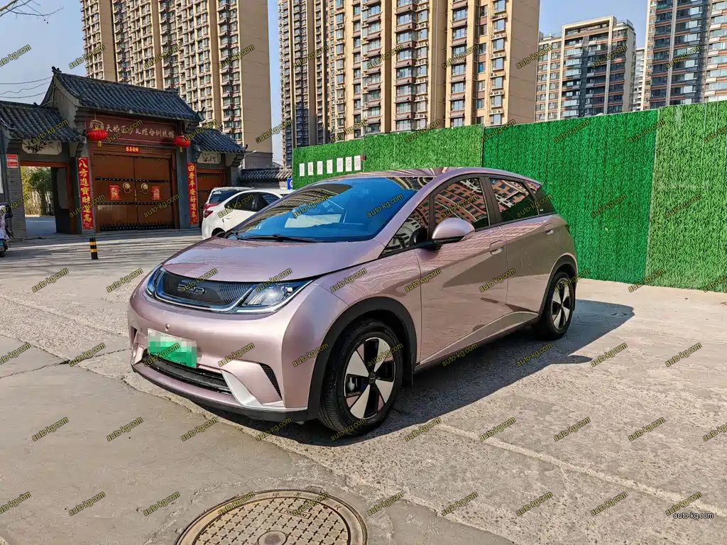 BYD Dolphin 2024
