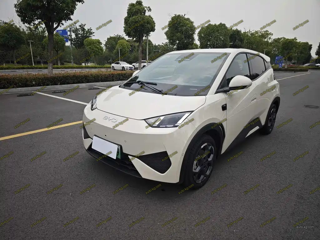 BYD Seagull 2025