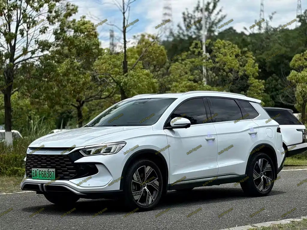 BYD Pro New Energy 2023