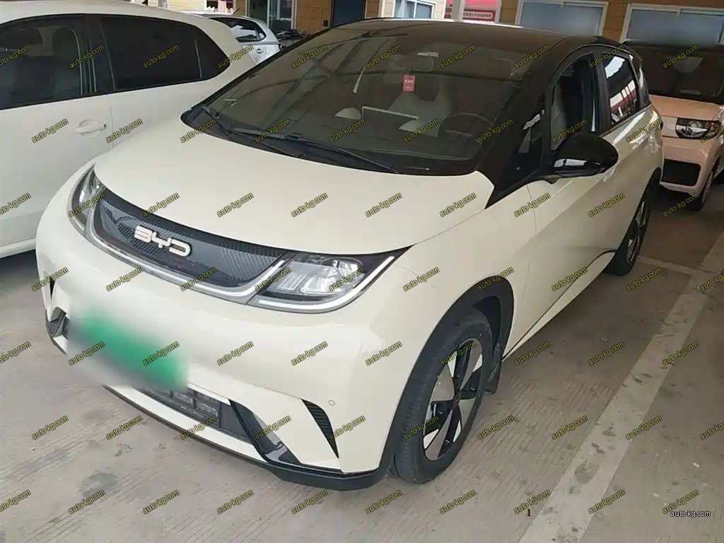BYD Dolphin 2024