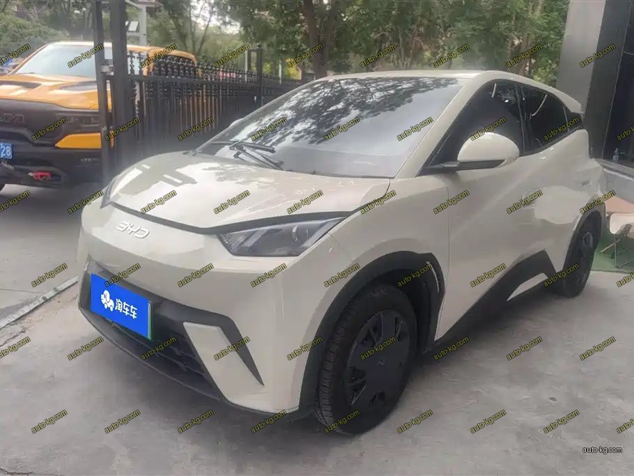 BYD Seagull 2024