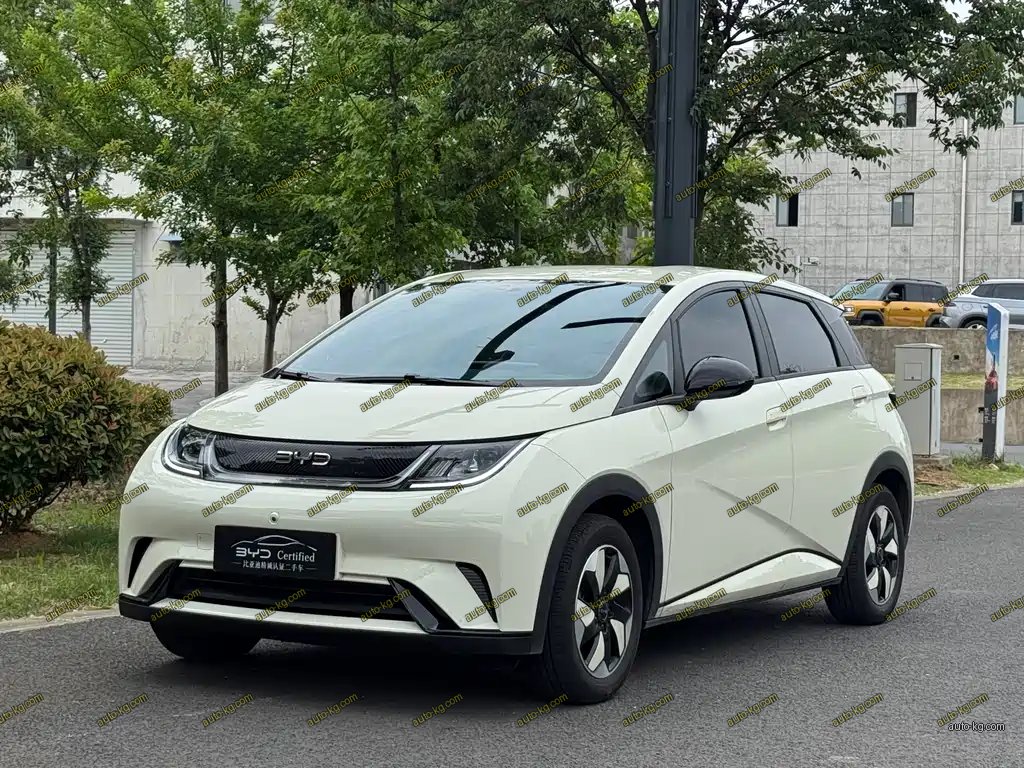 BYD Dolphin 2024