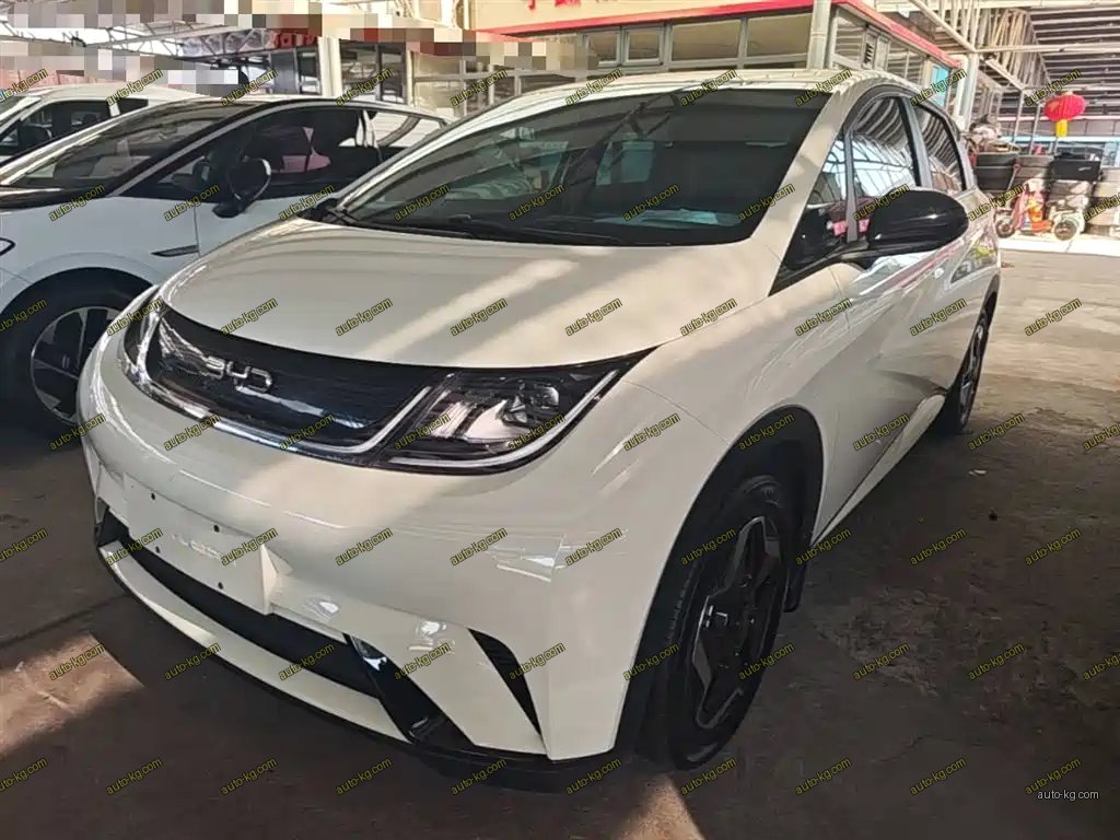 BYD Dolphin 2024