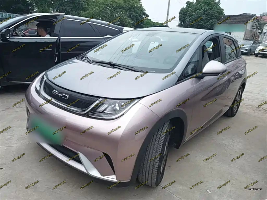 BYD Dolphin 2022