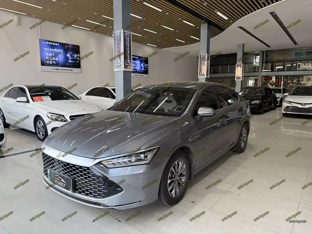 BYD Qin PLUS 2024