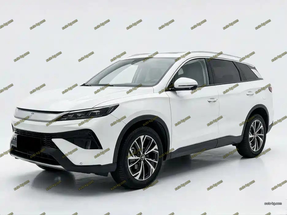 BYD Pro New Energy 2025