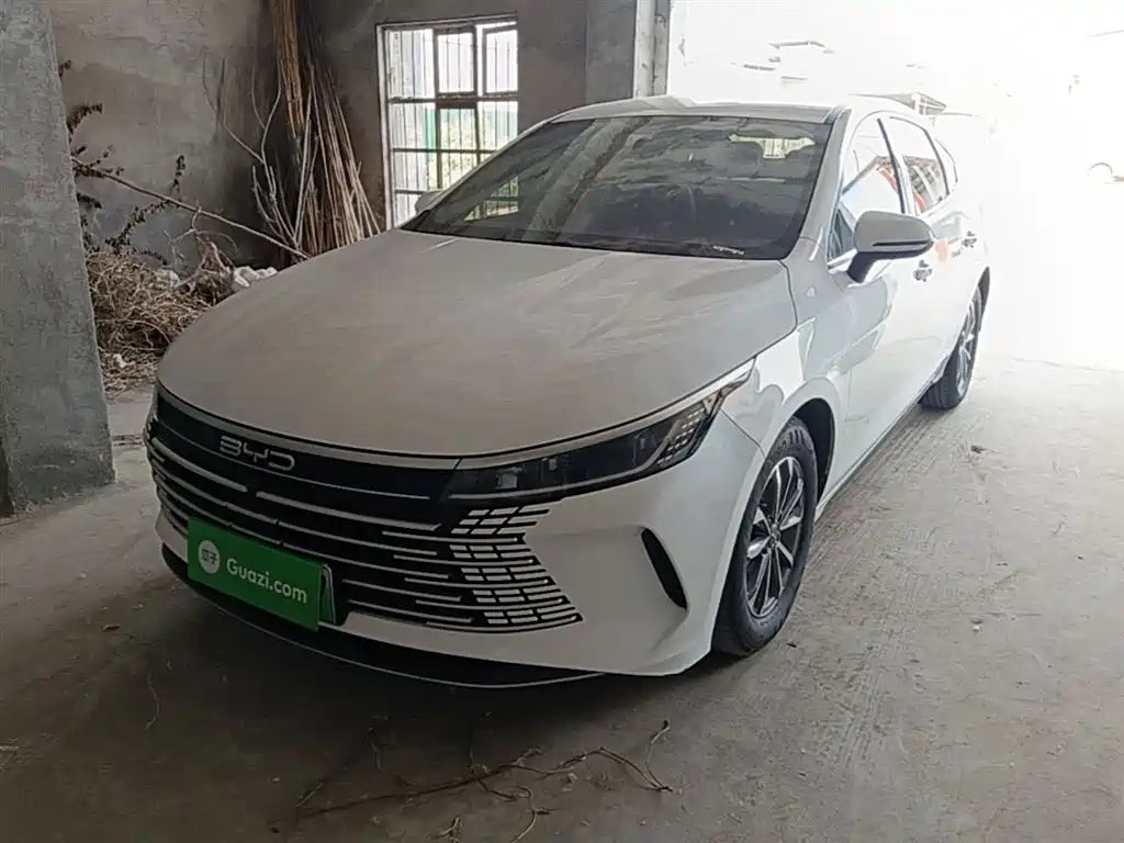 BYD Destroyer 05 2024