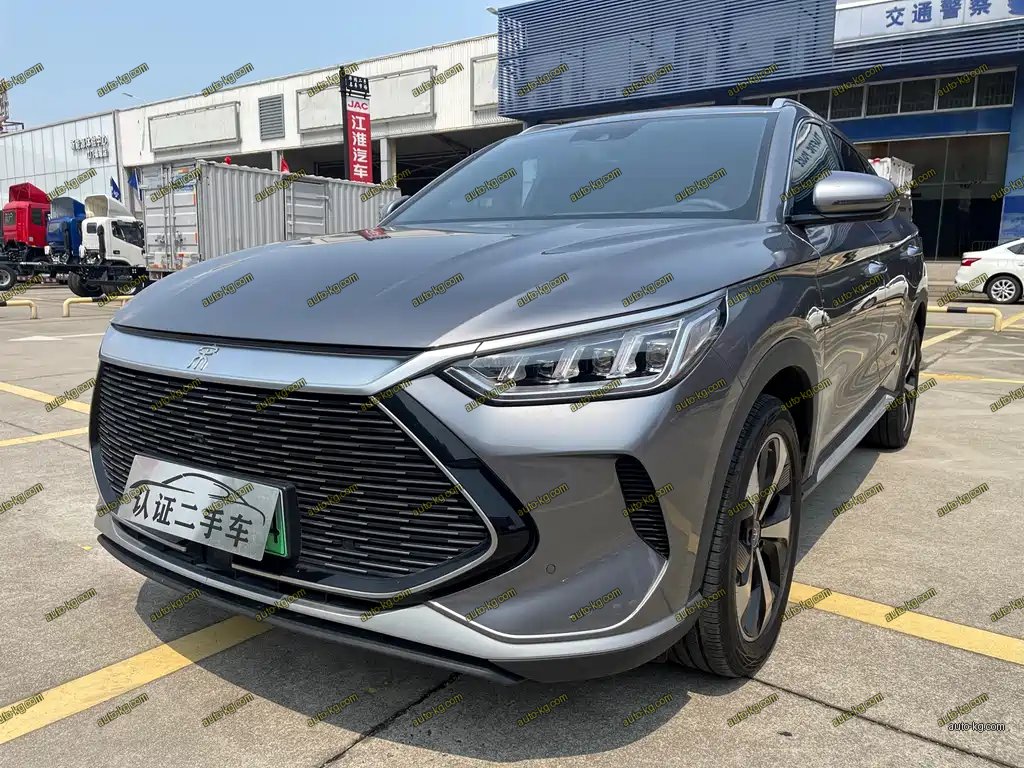 BYD PLUS New Energy 2022