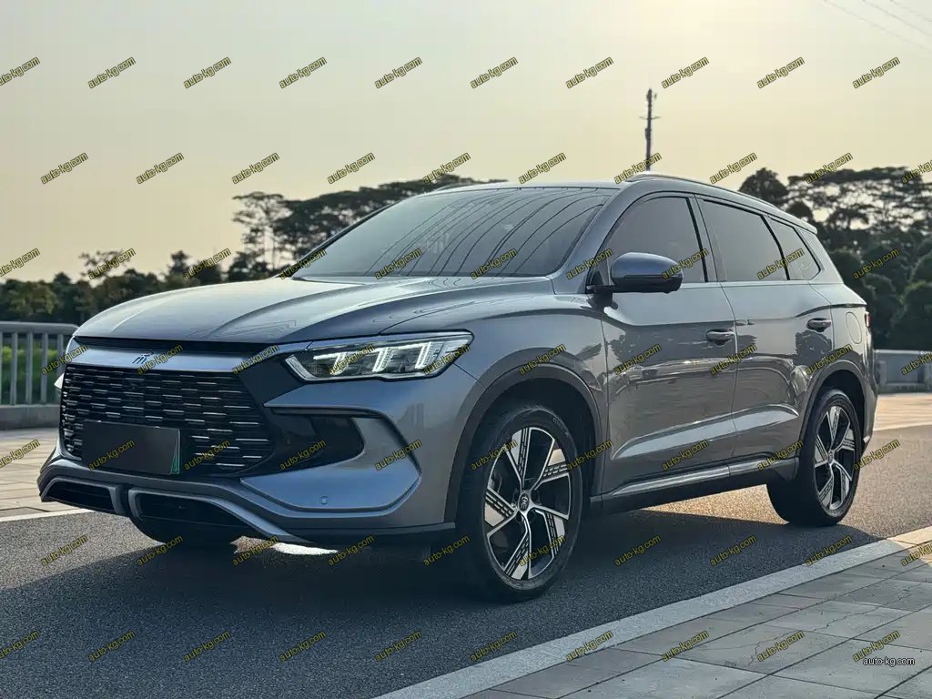 BYD Pro New Energy 2023