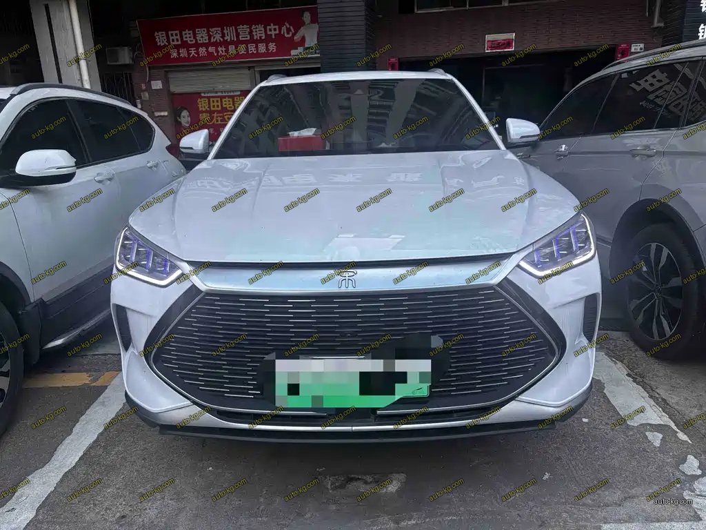 BYD PLUS New Energy 2021
