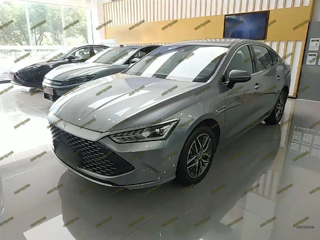 BYD Qin PLUS 2023