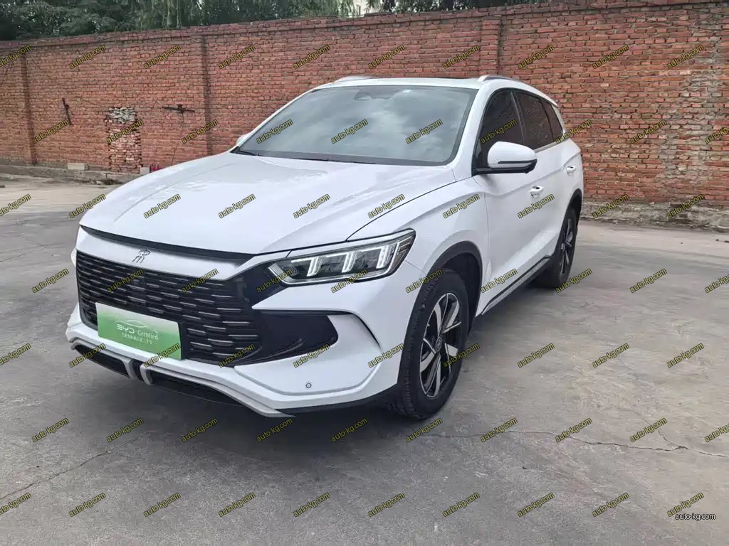BYD Pro New Energy 2024