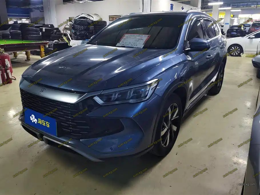 BYD Pro New Energy 2024