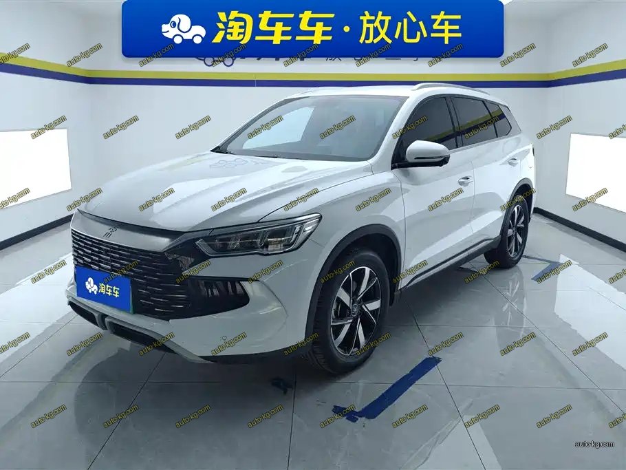 BYD Pro New Energy 2024