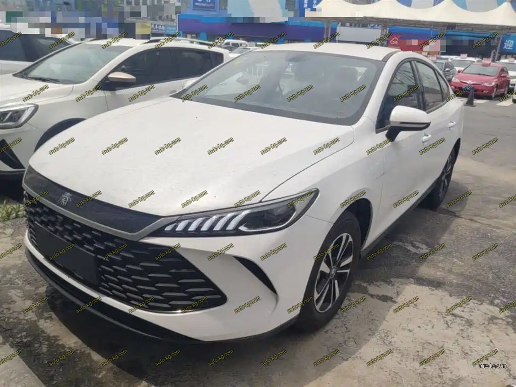 BYD Qin PLUS 2026