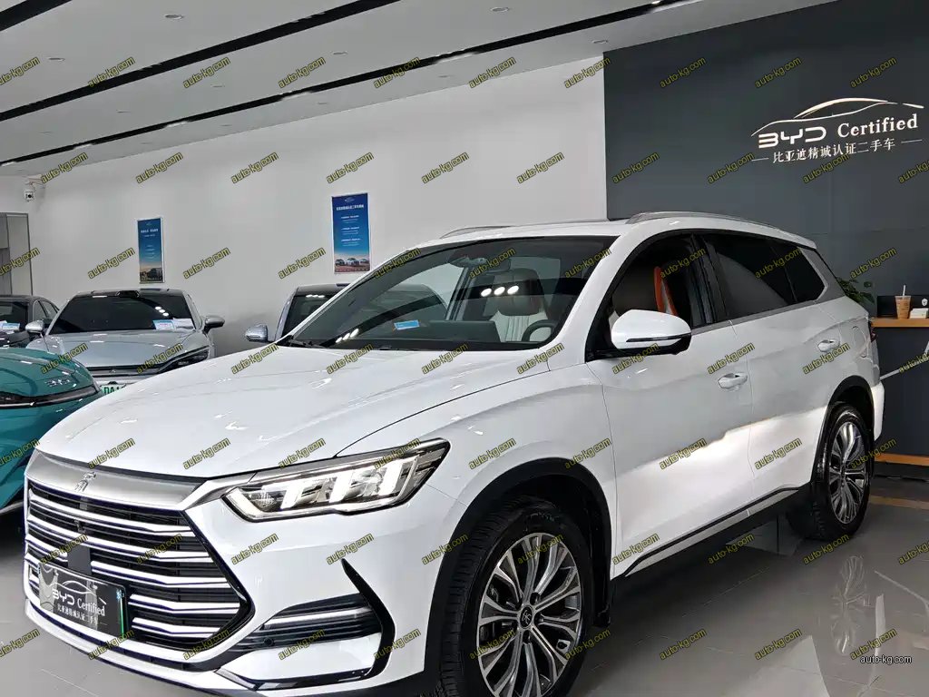 BYD Pro New Energy 2023