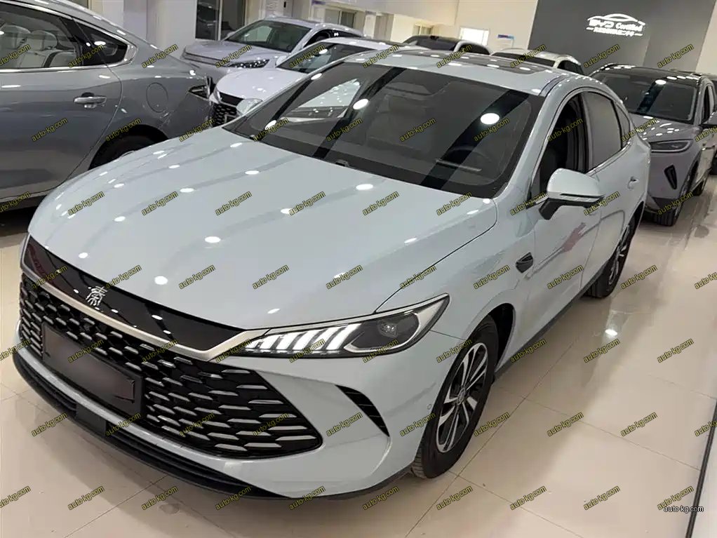 BYD Qin PLUS 2025