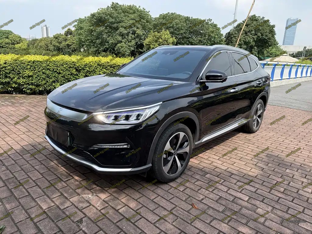 BYD PLUS New Energy 2022