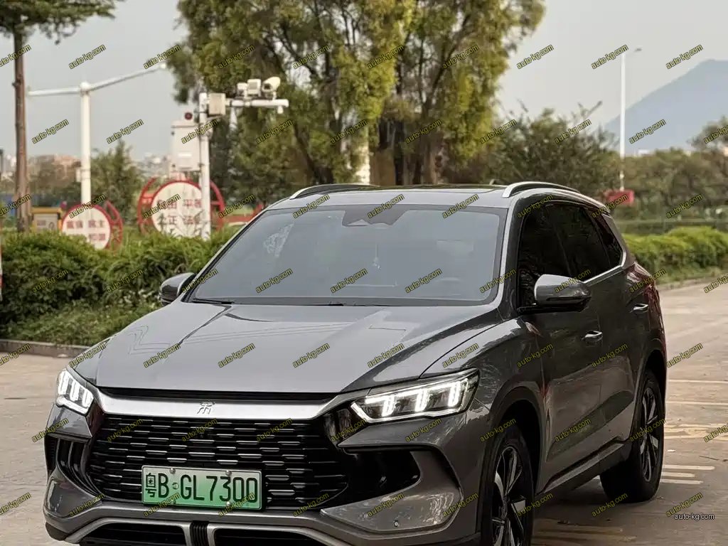 BYD Pro New Energy 2023
