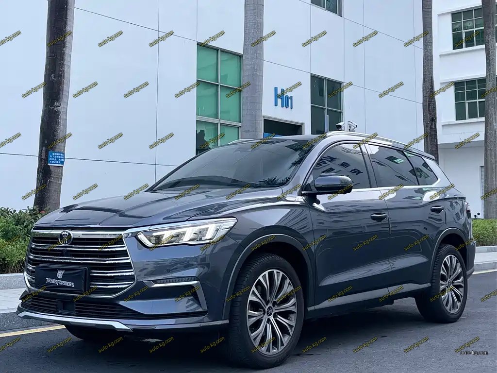 BYD Pro New Energy 2020