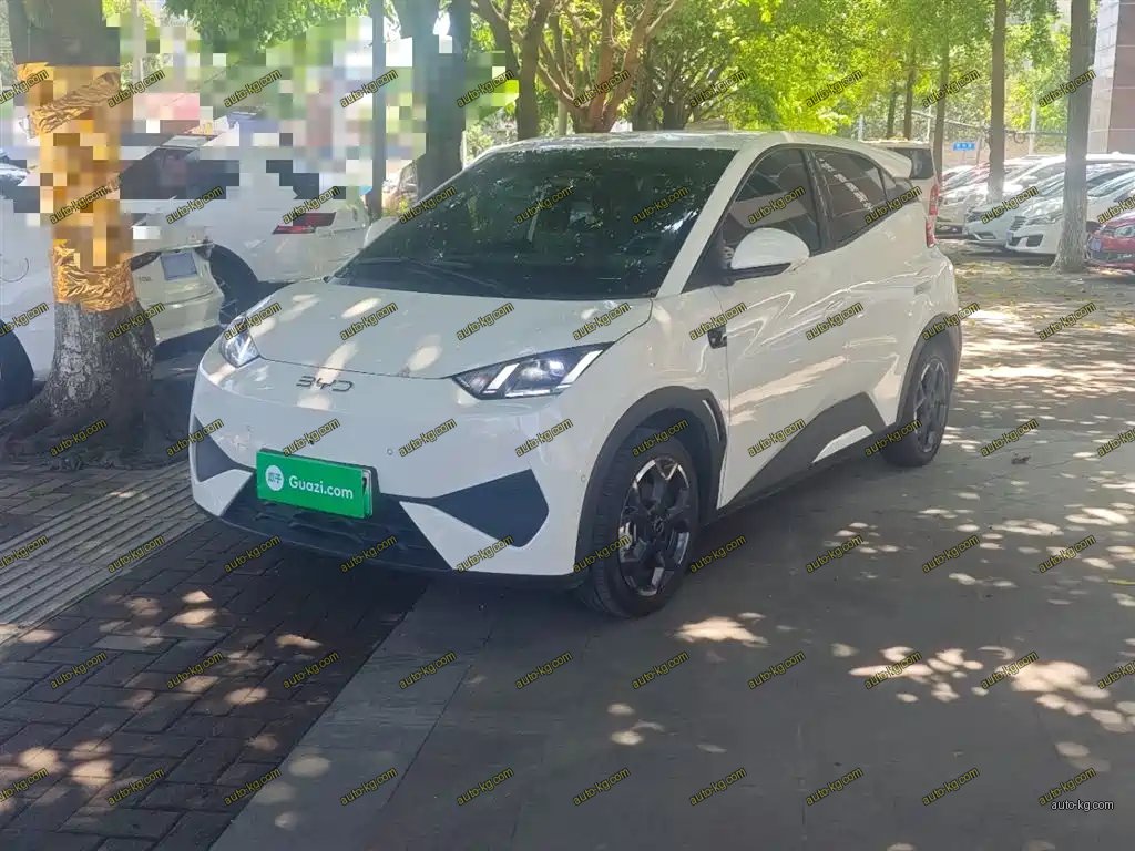 BYD Seagull 2025