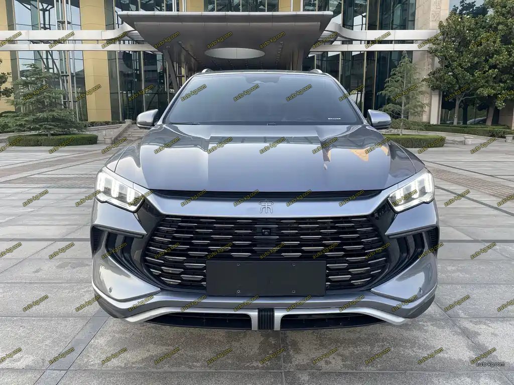 BYD Pro New Energy 2023
